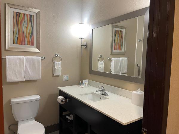 Comfort Suites Houston West at Clay Road : photo 4 de la chambre suite lit king-size - accessible aux personnes à mobilité réduite - non-fumeurs