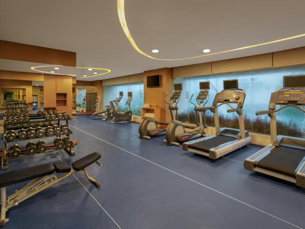 Novotel Ahmedabad : photo 8 de la chambre pet friendly studio suite with living-cum-bedroom, kitchenette and premier lounge access