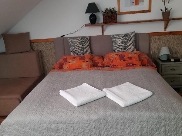 Zöld Sziget Vendégház : photo 2 de la chambre studio avec lit double