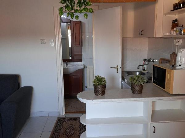 Zöld Sziget Vendégház : photo 1 de la chambre studio (4 adultes) 