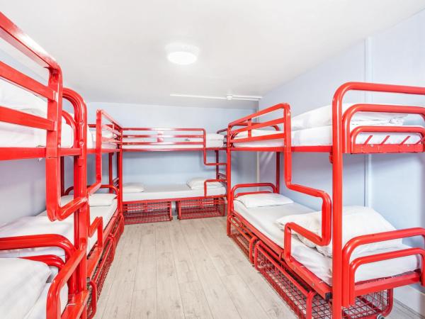 Astor Hyde Park Hostel : photo 2 de la chambre lit dans dortoir pour femmes de 10 lits avec salle de bains privative
