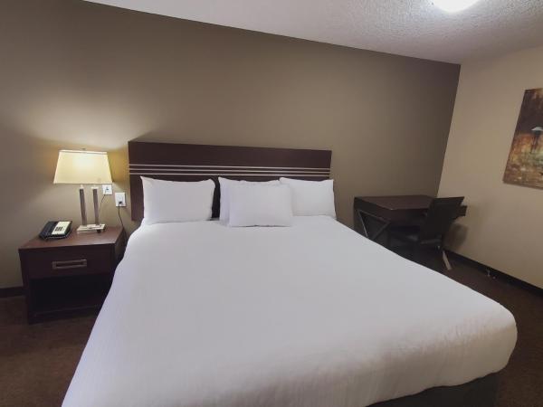 Royal Lodge : photo 5 de la chambre chambre lit king-size