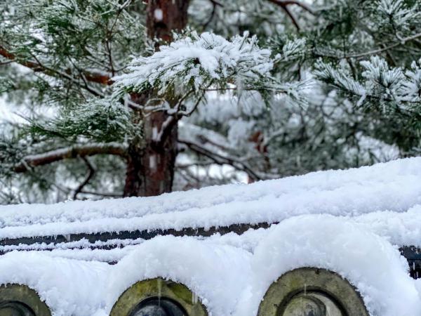 International Guest House Tani House : photo 4 de la chambre chambre double ou lits jumeaux avec salle de bains commune