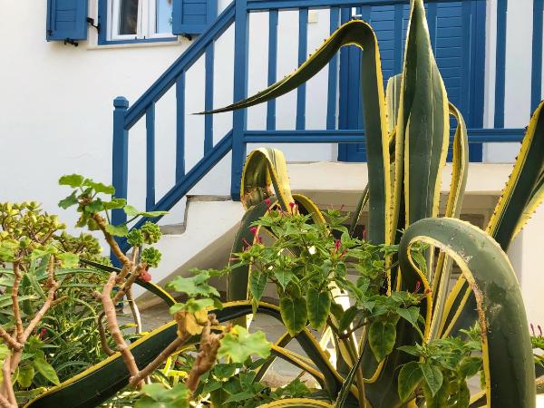 Matina Hotel : photo 8 de la chambre chambre triple