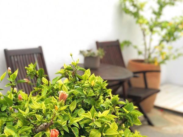 Matina Hotel : photo 9 de la chambre chambre triple