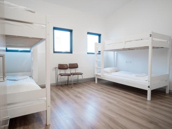 Guesthouse Pavi : photo 6 de la chambre chambre quadruple avec salle de bains privative