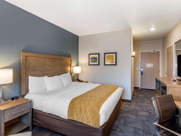 Comfort Inn & Suites Salt Lake City Airport : photo 4 de la chambre chambre lit king-size - non-fumeurs