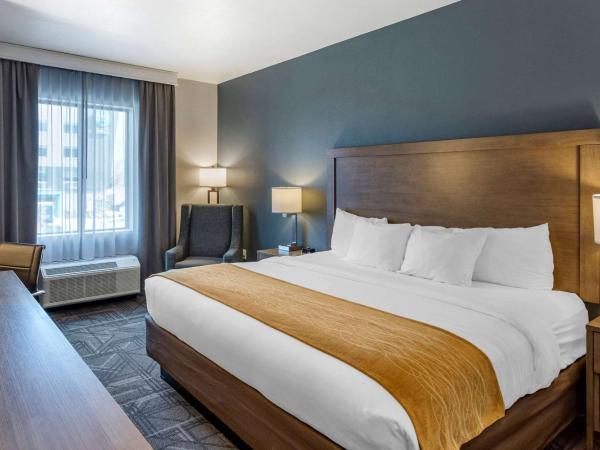 Comfort Inn & Suites Salt Lake City Airport : photo 5 de la chambre chambre lit king-size - non-fumeurs