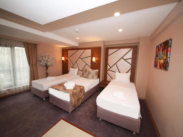 Litros Hotel & Spa : photo 1 de la chambre chambre triple standard