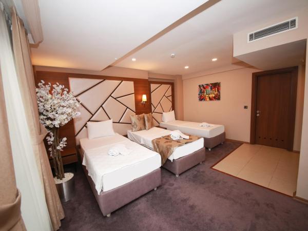 Litros Hotel & Spa : photo 3 de la chambre chambre triple standard