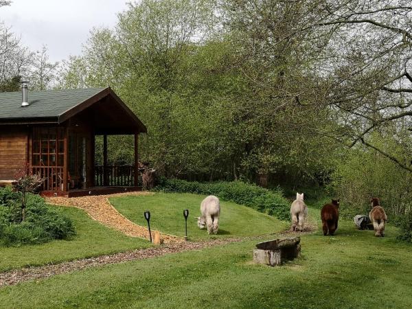 Acorn Glade Glamping : photo 7 de la chambre bluebell log cabin