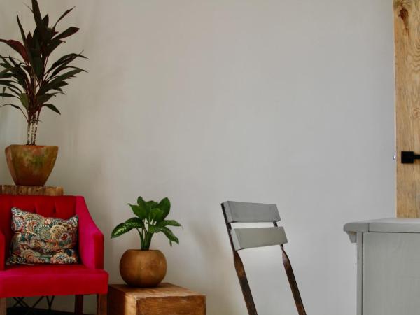 Vivir Bonito Hostal : photo 1 de la chambre chambre double standard