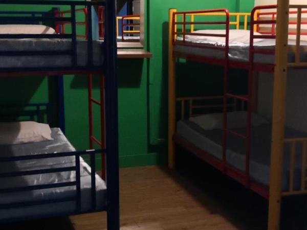 Akinabalu Youth Hostel : photo 1 de la chambre lit dans dortoir pour femmes de 4 lits