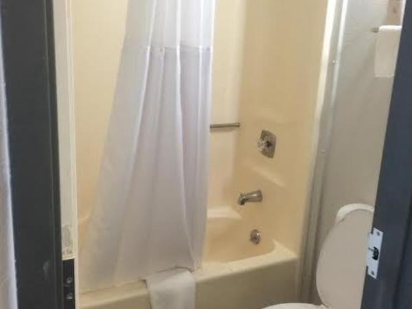 Lotus Inn and Suites Nashville : photo 7 de la chambre chambre double avec 2 lits doubles - non-fumeurs