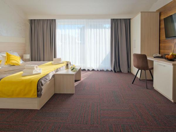 Hotel Bor : photo 2 de la chambre chambre double supérieure