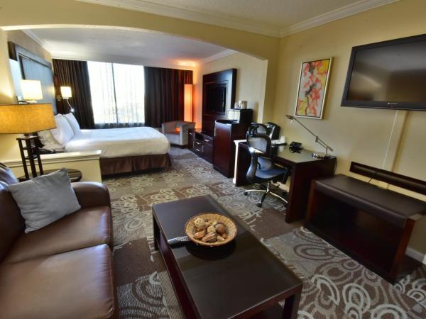 Holiday Inn Orlando East-UCF Area, an IHG Hotel : photo 4 de la chambre chambre lit king-size supérieure