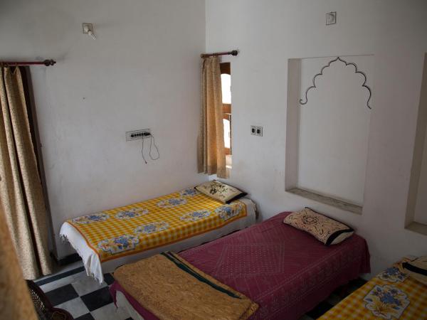 Udai Haveli Guest House : photo 6 de la chambre chambre double Économique avec salle de bains et toilettes communes