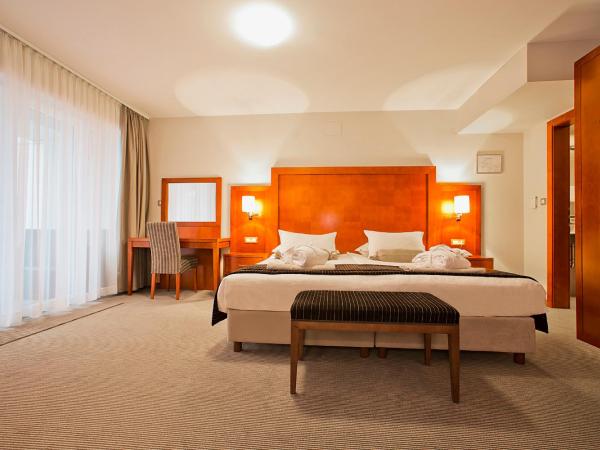 Spa & Wellness Hotel Pinia : photo 8 de la chambre suite familiale - maslina