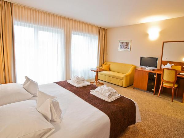 Spa & Wellness Hotel Pinia : photo 3 de la chambre chambre double standard