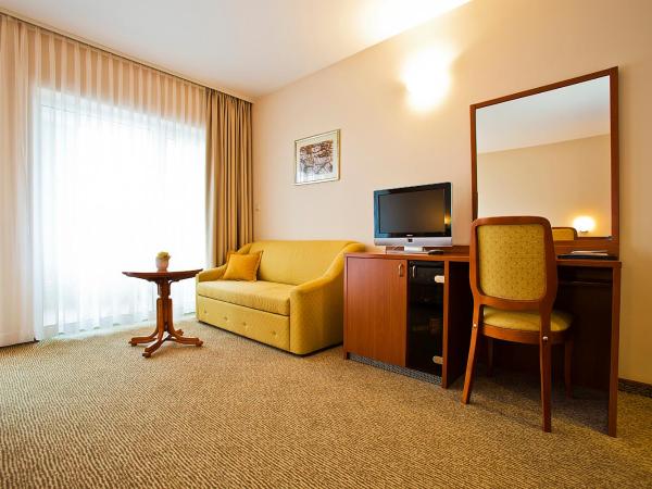 Spa & Wellness Hotel Pinia : photo 4 de la chambre chambre double standard