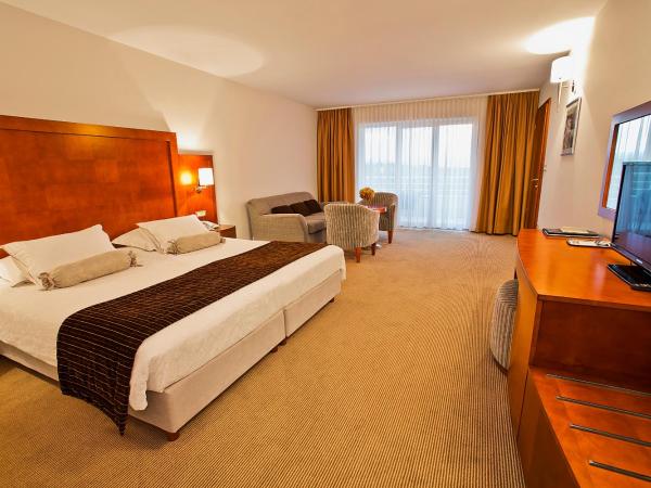 Spa & Wellness Hotel Pinia : photo 1 de la chambre chambre double deluxe - vue sur mer