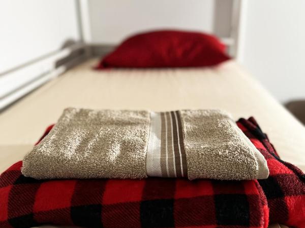 Pineapple Hostel : photo 3 de la chambre lit superposé dans dortoir mixte