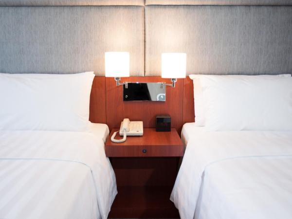 B P International : photo 3 de la chambre chambre lits jumeaux - vue sur ville