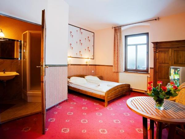 Perła Karkonoszy SPA : photo 7 de la chambre chambre premium de luxe