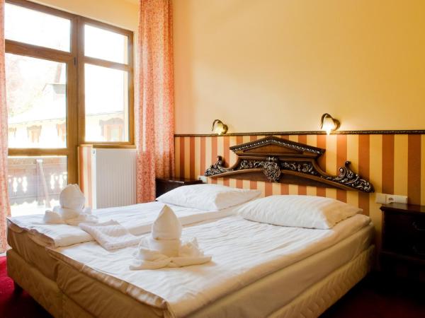Perła Karkonoszy SPA : photo 2 de la chambre chambre premium 