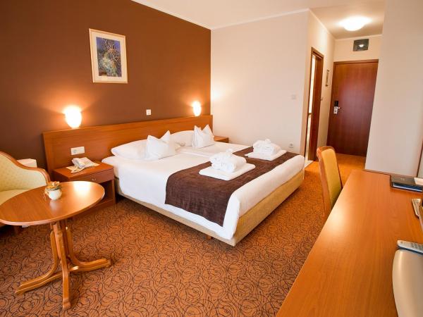 Spa & Wellness Hotel Pinia : photo 2 de la chambre chambre double standard