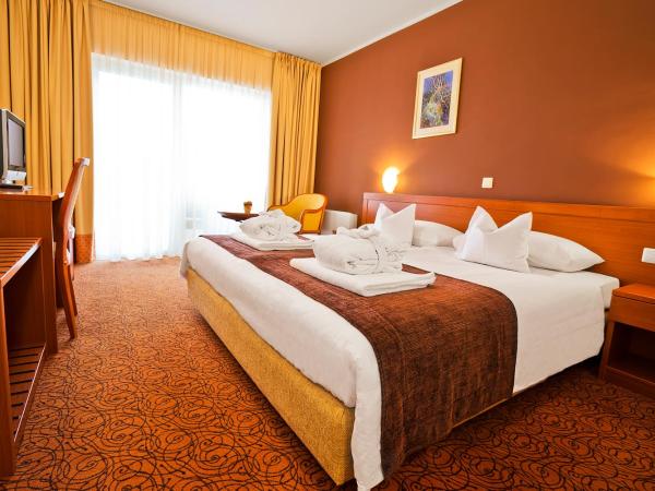 Spa & Wellness Hotel Pinia : photo 2 de la chambre chambre double avec balcon