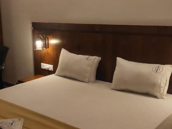 Hotel Anvisha Executive : photo 1 de la chambre chambre double standard