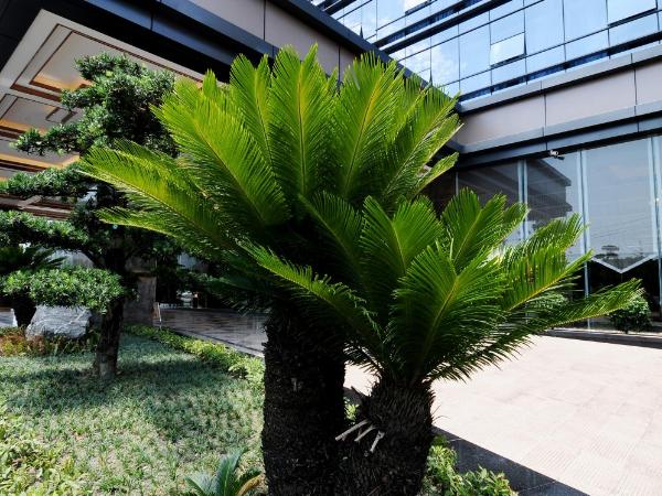 Airport Jianguo Hotel : photo 5 de la chambre chambre double deluxe