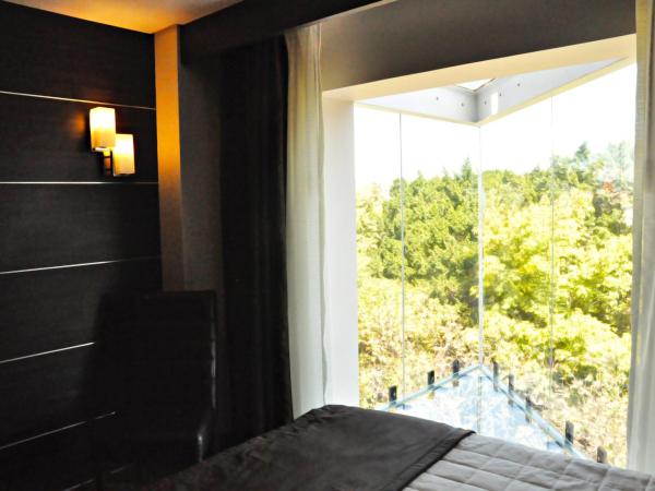 Hotel Real Alameda de Queretaro : photo 4 de la chambre suite familiale