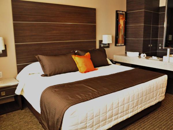 Hotel Real Alameda de Queretaro : photo 4 de la chambre suite junior