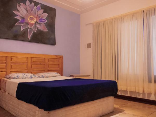 The Eco Palace Hostel : photo 2 de la chambre chambre double ou lits jumeaux