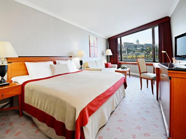InterContinental Budapest, an IHG Hotel : photo 2 de la chambre chambre lit king-size première - vue sur rivière
