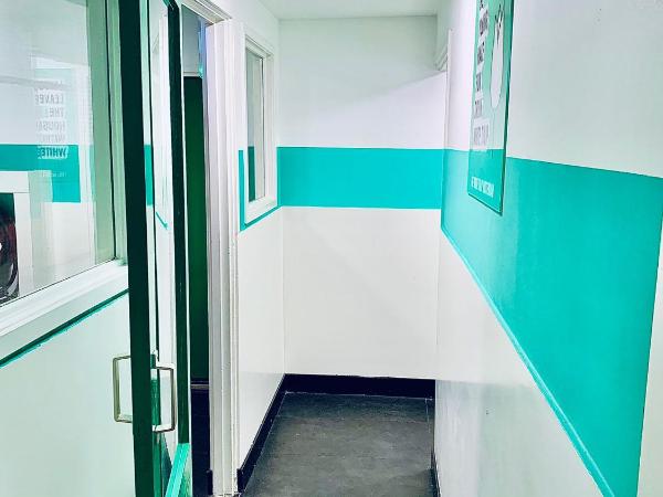 The White Tulip Hostel : photo 3 de la chambre lit simple dans dortoir mixte