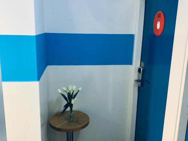 The White Tulip Hostel : photo 3 de la chambre chambre quadruple avec salle de bains commune