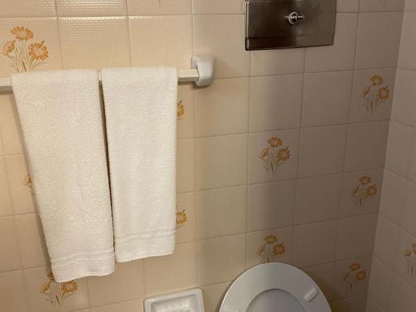 Hotel Concorde : photo 6 de la chambre chambre double supérieure