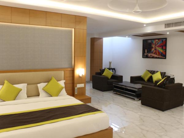 Hotel International Inn by Star Group - Near Delhi Airport : photo 8 de la chambre chambre simple deluxe