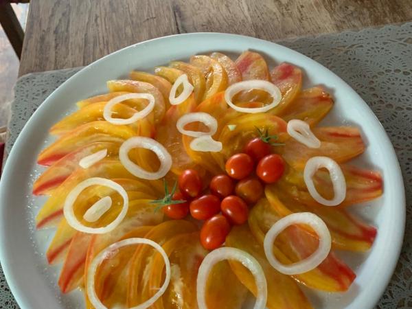 Casa di Floumy : photo 10 de la chambre studio