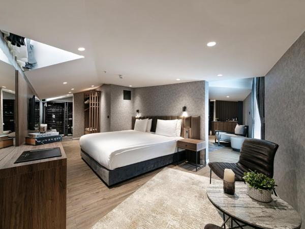 Avantgarde Hotel Sisli : photo 1 de la chambre suite - vue sur ville