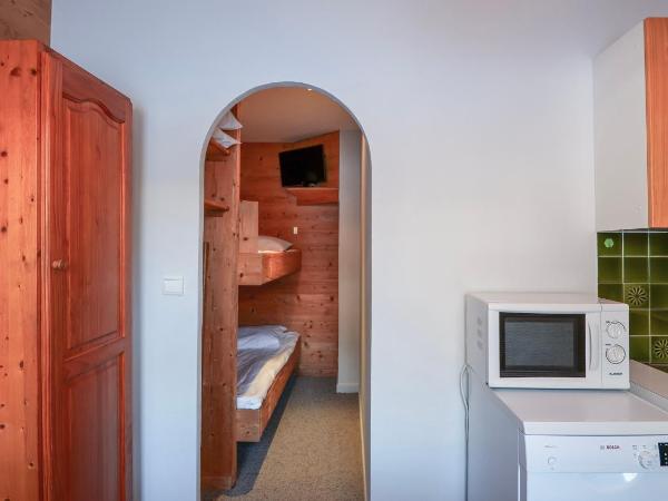 Chalet Hôtel des 2 Gares : photo 8 de la chambre appartement 1 chambre