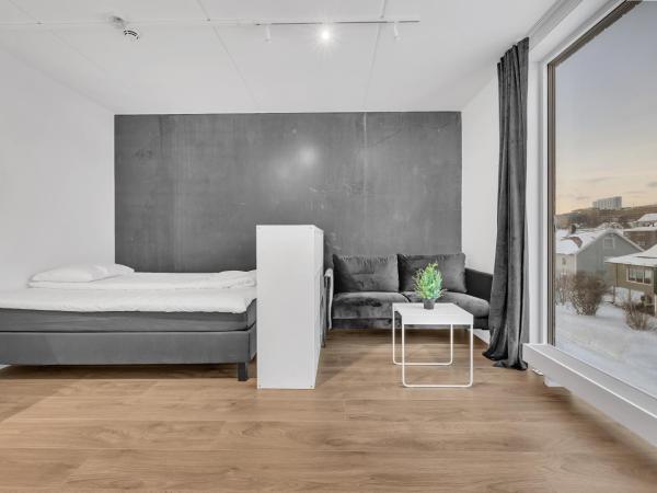 TA Stakkevollvegen Studio : photo 3 de la chambre studio