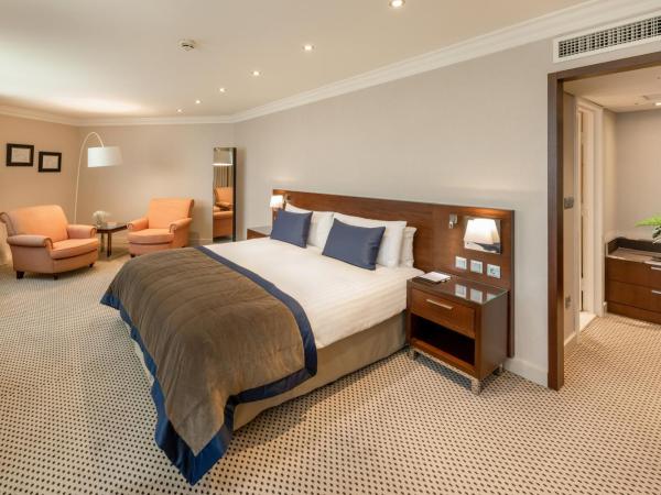 Athenaeum Intercontinental, an IHG Hotel : photo 5 de la chambre suite 2 chambres