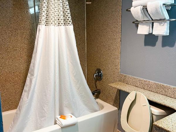 Seaview Hotel : photo 3 de la chambre chambre double avec 2 lits doubles - non-fumeurs