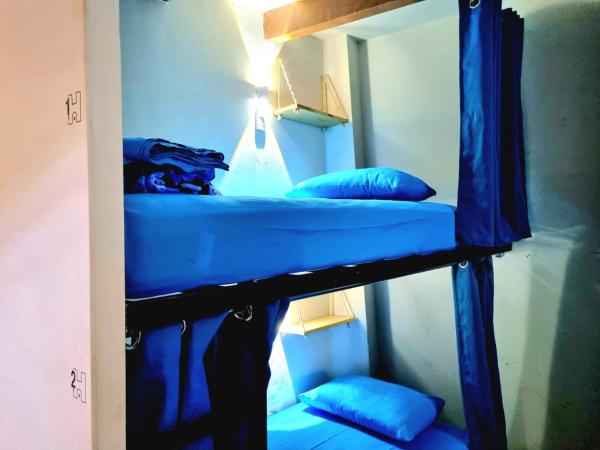 HOM Roma : photo 3 de la chambre lits superposés dans dortoir masculin 