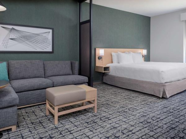 Hyatt Place Charlotte University : photo 1 de la chambre chambre lit king-size avec canapé-lit