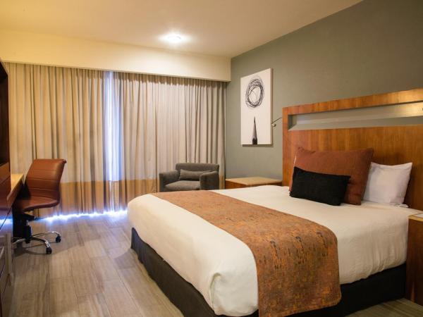 Real Inn Guadalajara Expo : photo 1 de la chambre chambre lit king-size de luxe 